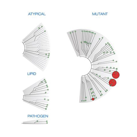 Mutant Graph Controlled