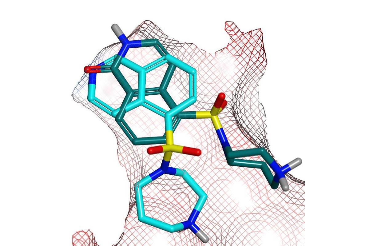 Diagram of Fasudil & hydroxy-fasudil bind ROCKI