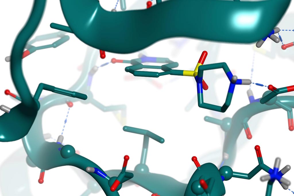 Diagram for Hydroxy-Fasudil in ROCKI