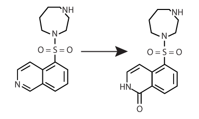 Hydroxy-Fasudil in ROCKI
