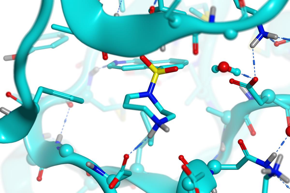 Diagram for Fasudil in ROCKI